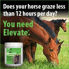 280x280-Elevate-Maintenance-Powder-Grazing