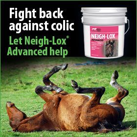 280x280-neigh-lox-advanced-colic