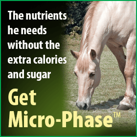 280x280-micro-phase-without-extra-calories