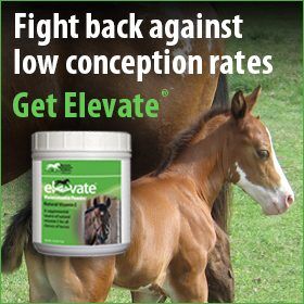 280x280-Elevate-natural-vitamin-e-conception-rates