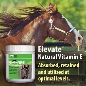 280x280-Elevate-natural-vitamin-e-highly-bioavailable-optimal-levels