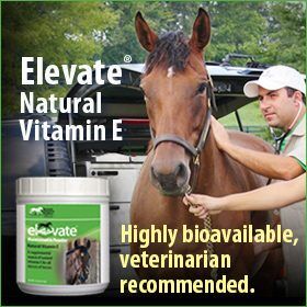 280x280-Elevate-natural-vitamin-e-highly-bioavailable-vet-recommended