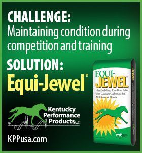 280x280-Equi-Jewel-Challenge-Solution